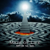 MAZE OF LIFE artwork