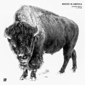 Winter in America artwork