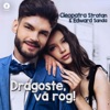 Dragoste, Vă Rog! - Single