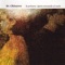Con Algas Como Peluca - Sr. Chinarro lyrics