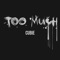 Too Much - Cubie lyrics
