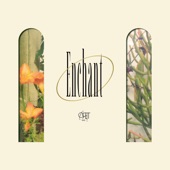 Enchant - EP artwork