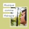 Ambiance new age - Alina Minouge lyrics