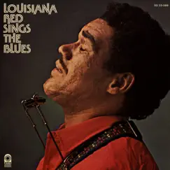The Story of Louisiana Red Song Lyrics