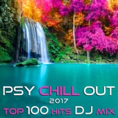 Psy Chill Out 2017 Top 100 Hits DJ Mix artwork