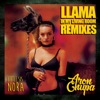 Llama In My Living Room (Remixes) - EP