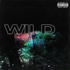 Wild - Single by Akili album reviews, ratings, credits