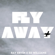 Fly Away - Ray Ervin & Ed Williams