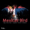 Mexican Bird (feat. Stephen Foster & Howler) - Single