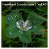 Heartbeat Soundscapes, Vol. 40