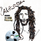 Alborosie Meets Roots Radics: Dub for the Radicals - Alborosie