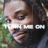 Turn Me On artwork