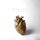 Bethel Music & Brian Johnson - Have It All