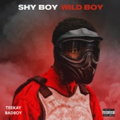 Shy Boy Wild Boy - EP artwork