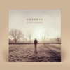 Hoseob Choi - GOODBYE