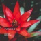 Coffee Shop - Pando G lyrics