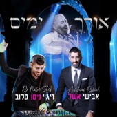 אורך ימים artwork