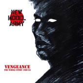Vengeance: The Whole Story 1980-84 artwork