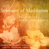Stress Relief Vol. II Experience Deep Relaxation- Guided Meditations and Yoga Nidra With Dr. Siddharth Ashvin Shah album lyrics, reviews, download