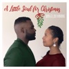 A Little Soul For Christmas