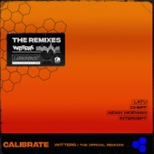 Calibrate (Aidan McEwan Remix) artwork