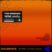 Calibrate (Intercept Remix) artwork