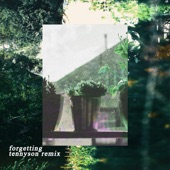 Forgetting (Tennyson Remix) artwork