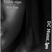 Visible Sign It Is You artwork