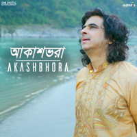 Palash Sen - Akashbhora - Single artwork
