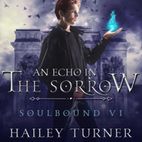 Hailey Turner - An Echo in the Sorrow: Soulbound, Book 6 (Unabridged) artwork