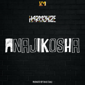 Anajikosha - Harmonize