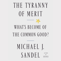 Michael J. Sandel - The Tyranny of Merit artwork