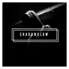 Shadowglow - Single album lyrics, reviews, download