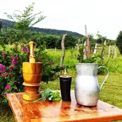 El Tereré - Single - Herminio Giménez