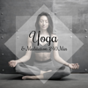 Yoga & Meditation 240 Min: Mindfulness Meditation Spa, Spiritual Reflections, Find Your Inner Peace, Stress Relief & Clear Your Mind, Connect with Zen Energy - Namaste Healing Yoga, Healing Yoga Meditation Music Consort & Guided Meditation Music Zone