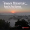 Echo in the Canyon (feat. Maria Sebastian) - Jimmy Steinfeldt lyrics