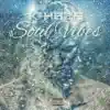 Soul Vibes album lyrics, reviews, download