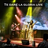 Te Daré La Gloria (Live) - Single