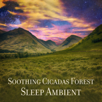 Sleepy Music Zone - Soothing Cicadas Forest - Sleep Ambient, Dreamy Nature Chants, Listen Relaxing Crickets, Calm Outdoor Camping artwork
