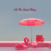 All the Small Things (feat. Ituana) artwork