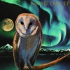 Night Owl EP