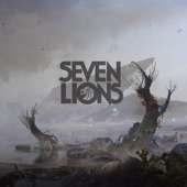 Let Go (feat. Fiora) - Seven Lions