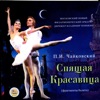 P.Tchaikovsky: the Sleeping Beauty, Ballet (excerpts) artwork