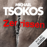 Michael Tsokos - Zerrissen: True-Crime-Thriller 4 artwork