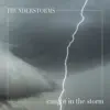 Caught in the Storm album lyrics, reviews, download