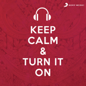 Keep Calm & Turn It On - Various Artists