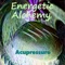 Acupressure - Energetic Alchemy lyrics