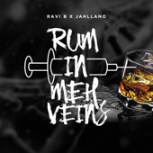 Rum in Meh Veins artwork