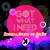 Got What I Need (feat. Kris Kiss) - Single