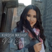 Mendilim / Nina / Gule / Helam / Bejna Şılık / Keçika Diyarbekir / Ez Berfım / Ez Tazeme (Kurdish Mashup) artwork